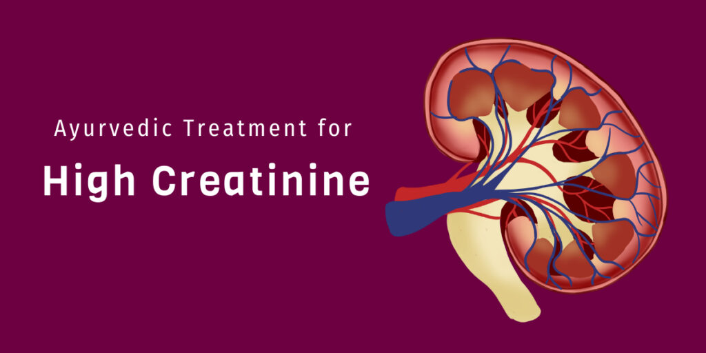 Ayurvedic treatment for high creatinine levels